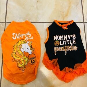 Dog Halloween costumes